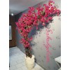 درخت گل کاغذی